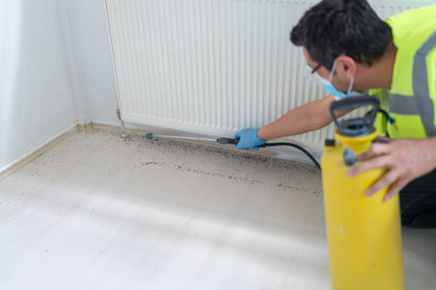 Best Pest Inspection Near Me  in Broomall, PA