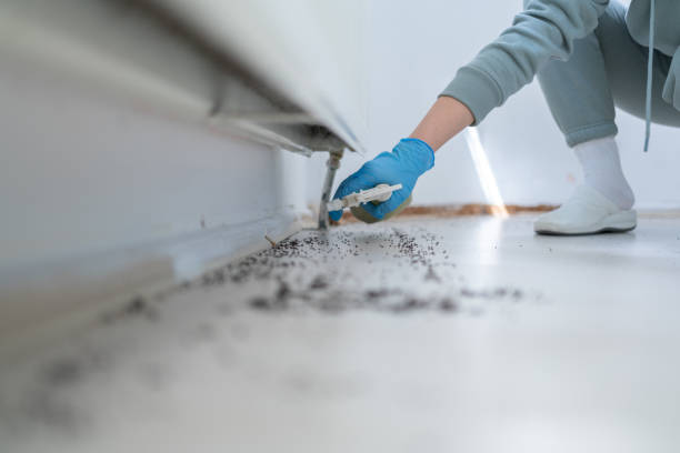 Best Pest Prevention Services  in Broomall, PA