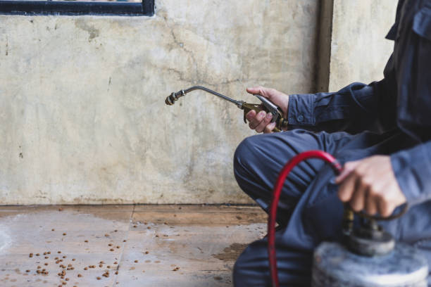 Best Rat Extermination Near Me  in Broomall, PA